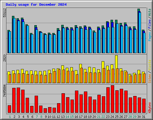 Daily usage for December 2024