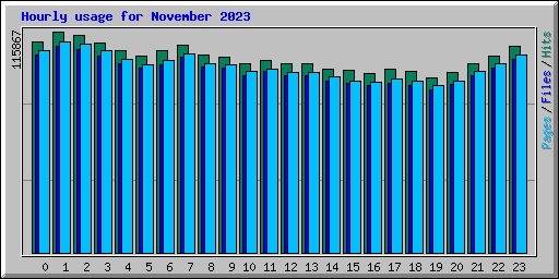 Hourly usage for November 2023