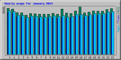 Hourly usage for January 2024