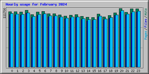 Hourly usage for February 2024