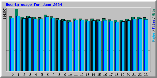 Hourly usage for June 2024