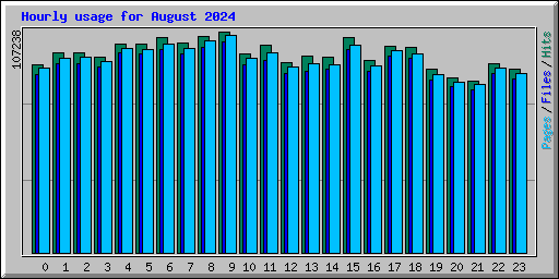 Hourly usage for August 2024