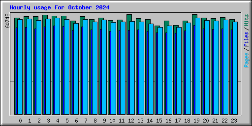 Hourly usage for October 2024