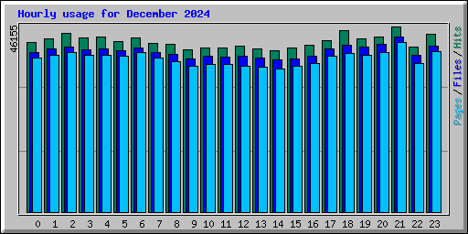 Hourly usage for December 2024