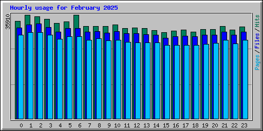 Hourly usage for February 2025