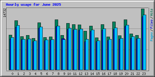 Hourly usage for June 2025