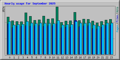 Hourly usage for September 2025