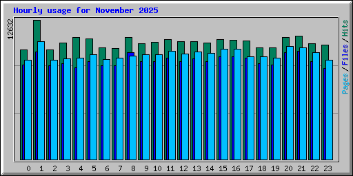 Hourly usage for November 2025