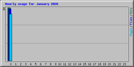 Hourly usage for January 2026