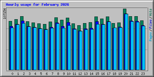 Hourly usage for February 2026