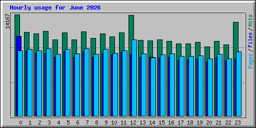 Hourly usage for June 2026