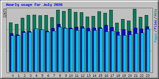 Hourly usage for July 2026