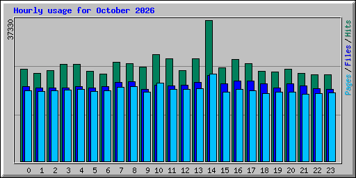 Hourly usage for October 2026